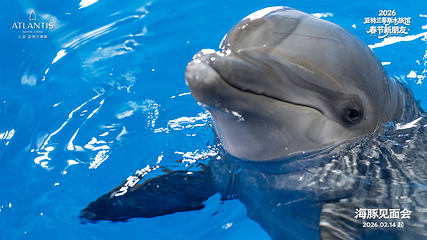 三亚亚特兰蒂斯失落的空间水族馆第 71 张图片