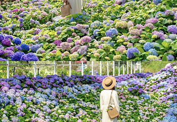 香遇百花园第 20 张图片