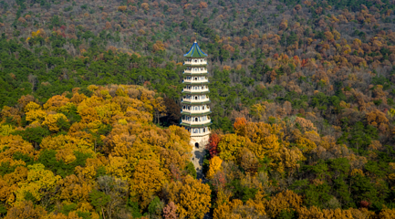 钟山风景名胜区第 43 张图片
