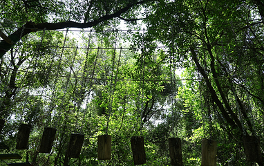 霖溪林风景区第 17 张图片