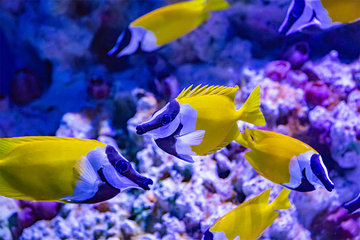 海昌海洋馆第 19 张图片