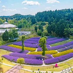 花溪河生态旅游区