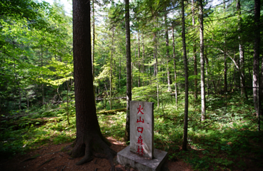 火山口国家森林公园第 16 张图片