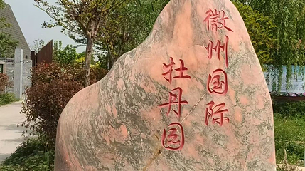 徽州国际牡丹园第 1 张图片