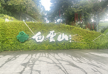 云山丛林飞跃乐园第 70 张图片