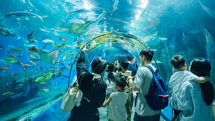 福州罗源湾海洋世界旅游区第 1 张图片