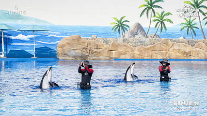 三亚亚特兰蒂斯失落的空间水族馆第 63 张图片