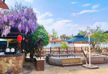 芭东小镇温泉第 5 张图片