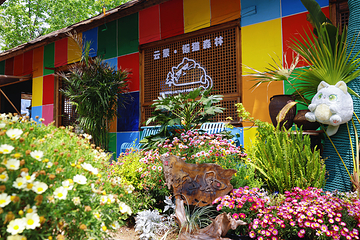 沂蒙山云蒙景区(蒙山国家森林公园)第 27 张图片