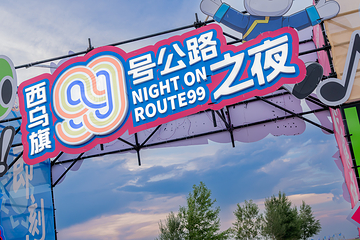 西乌旗99号公路之夜第 8 张图片