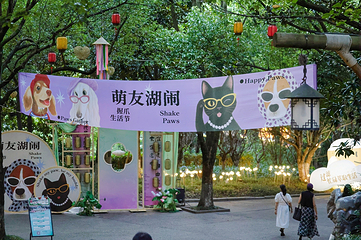 天目湖夜公园第 1 张图片
