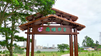 荷塘印象生态园第 4 张图片