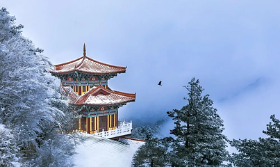 洛阳白云山风景区第 58 张图片