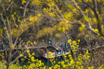 九如山休闲旅游度假区第 179 张图片