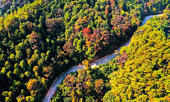平天山国家森林公园