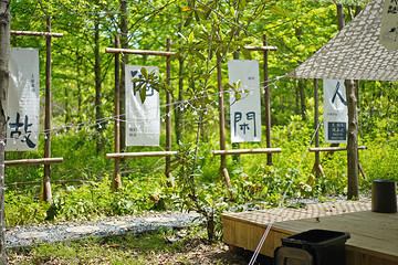 大象露营Elephant Camping第 17 张图片