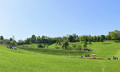绵阳北川飞鸿滑草场第 9 张图片
