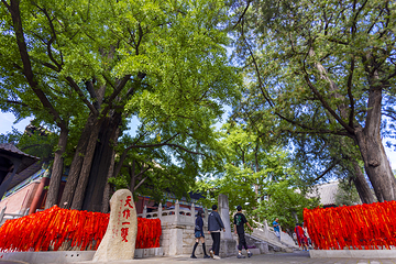 红螺寺第 76 张图片