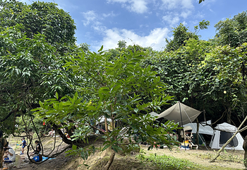 天龙溪自然风景区第 13 张图片