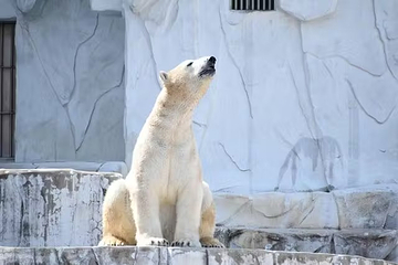 东山动植物园第 15 张图片