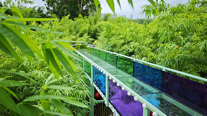 千花洲生态景区第 113 张图片