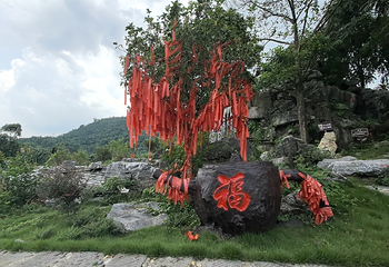 茶趣园第 49 张图片