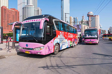 大连旅游观光巴士第 12 张图片