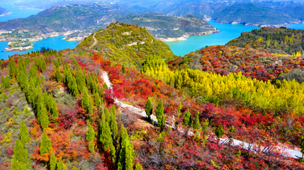 荆紫仙山第 27 张图片