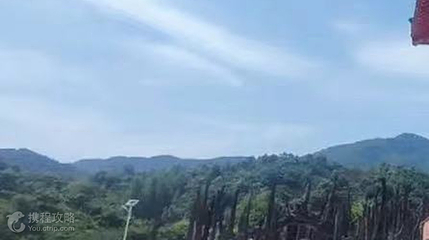 东方神木园第 2 张图片