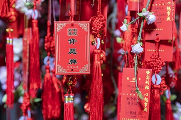 金茂大厦88层观光厅第 40 张图片