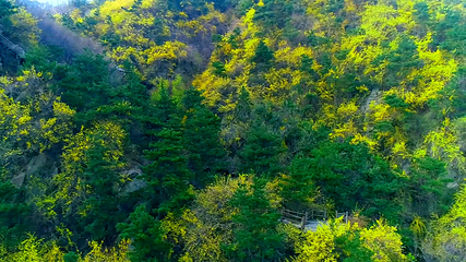 九如山休闲旅游度假区第 197 张图片