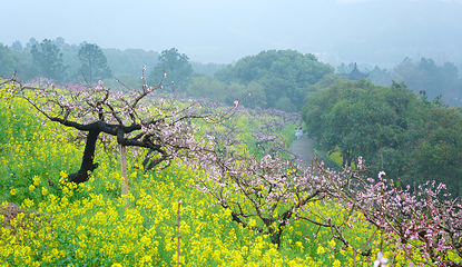 长兴城山沟景区第 46 张图片
