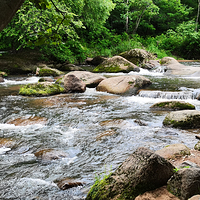 三道关国家森林公园