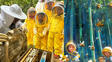 小蜜蜂梦幻森林乐园