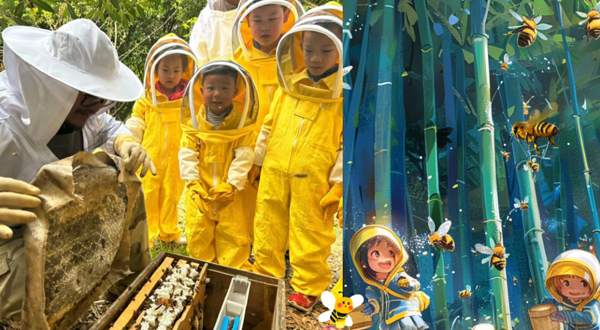 小蜜蜂梦幻森林乐园