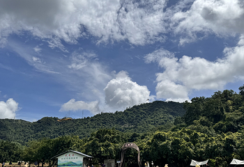 天龙溪自然风景区第 23 张图片