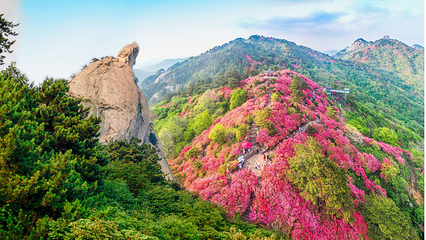 龟峰山景区第 12 张图片