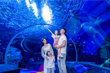 海合安成都极地海洋公园第 93 张图片