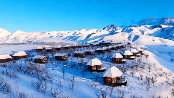 伊犁天山花海景区