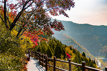 青铜山大峡谷第 93 张图片