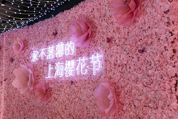 顾村公园自然谷恐龙乐园第 84 张图片