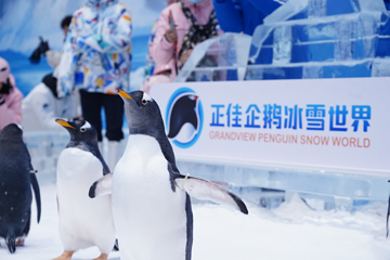 正佳广场商贸旅游区第 51 张图片