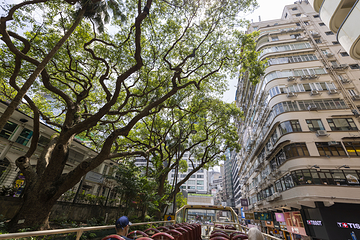 Big Bus香港观光巴士游第 44 张图片