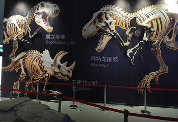 延吉恐龙科技体验馆第 3 张图片