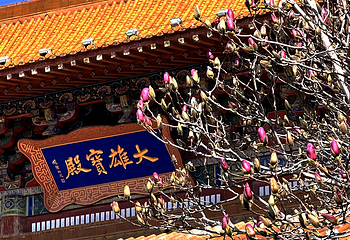 宝相寺第 25 张图片