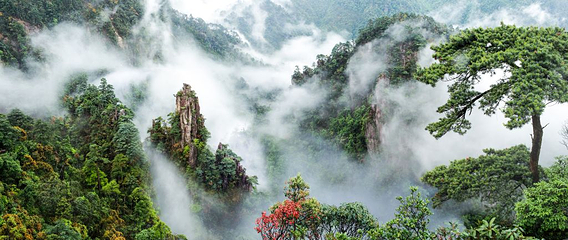 莽山旅游区国家森林公园第 34 张图片