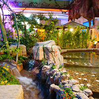 万家惠欢乐水世界