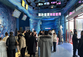 蓝色星球海底世界第 14 张图片