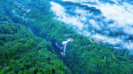 碧峰峡野生动物世界第 134 张图片