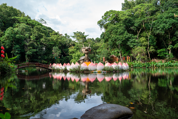 海南百花岭热带雨林文化旅游区第 18 张图片